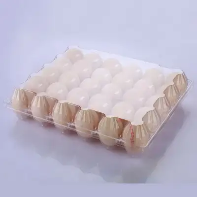 Transparent Rigid PET Sheet for Blister Packing_43